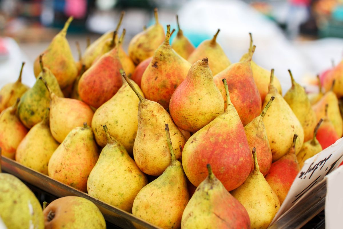 frutas para comer cruas