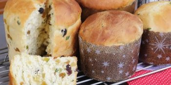 receita de panetone do natal
