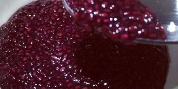sagu com vinho tinto