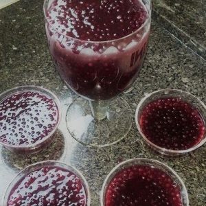 Sagu de vinho gaúcho simples fácil