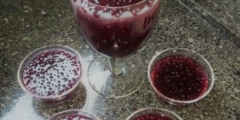Sagu de vinho gaúcho