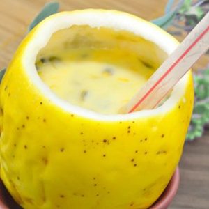 batida de maracujá de 2 litros prática demais