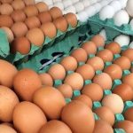 ovo velho no mercado