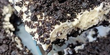 Sobremesa com oreo