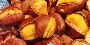 Castanhas assadas no forno: quem faz em casa se apaixona