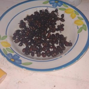 tanajura na manteiga receita como preparar