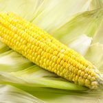 palha de milho para receitas