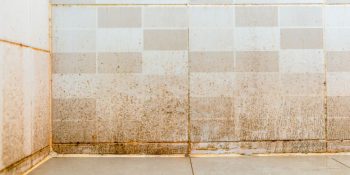 tirar mancha de lama de parede