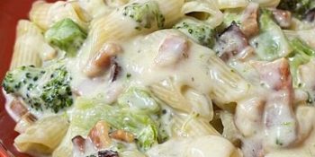 Penne ao molho branco e bacon