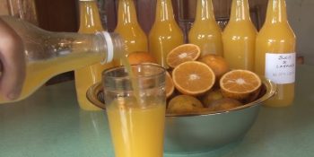 Suco de laranja gaseificado simples