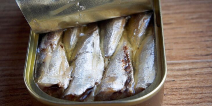 é saudável comer sardinha em lata