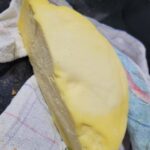 Queijo caseiro sem lactose tudo gostoso