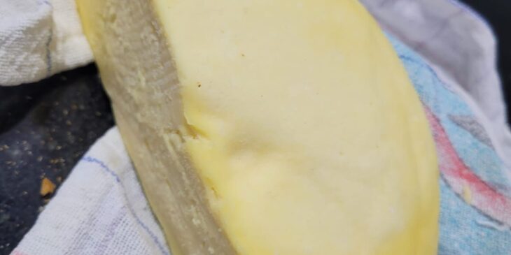 Queijo caseiro sem lactose tudo gostoso