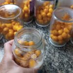 Cachaça de butiá como preparar caseira original tradicional