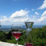 Vinho merlot caseiro aprenda os segredos
