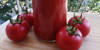 Polpa de tomate