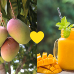 receitas-de-suco-de-manga