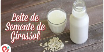 Leite de girassol