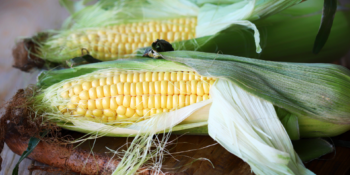 remover-sujeira-do-milho