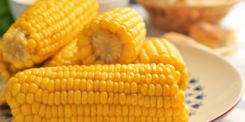 milho-fora-da-geladeira