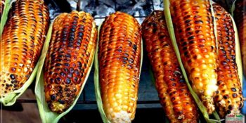 Receita de Festa Junina: Milho na churrasqueira com manteiga
