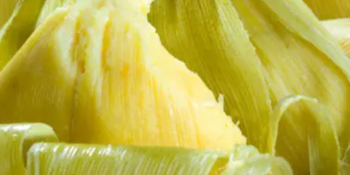 receitas-de-pamonha-para-sao-joao