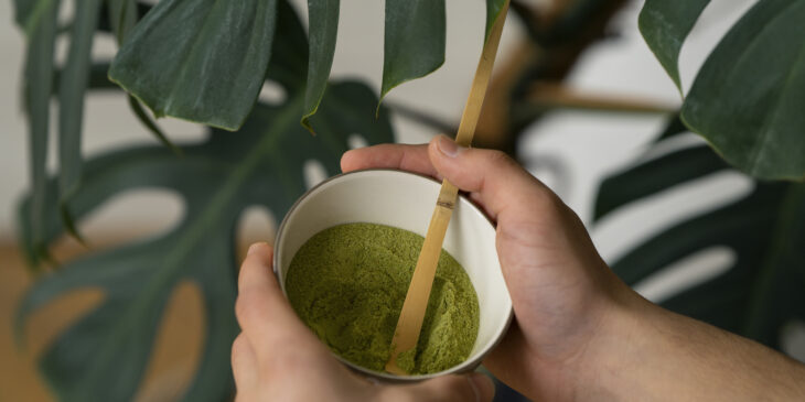 Como fazer chá de matcha? - Foto: Divulgação