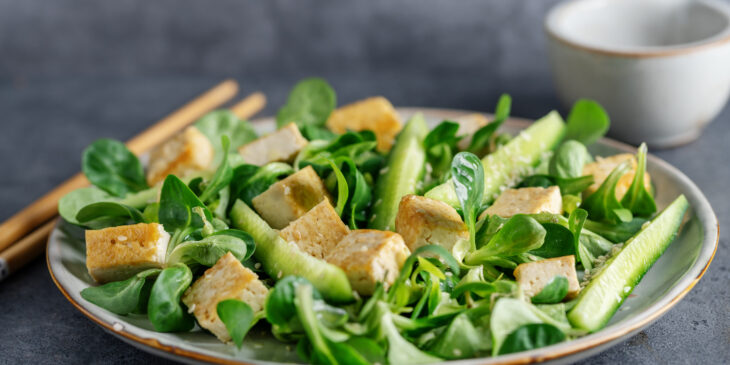 As melhores receitas com Tofu: Versatilidade e sabor com  o queijo de soja - Foto: Freepik