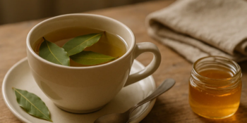 Chá de louro: como fazer a infusão que ajuda na digestão e alivia o inchaço