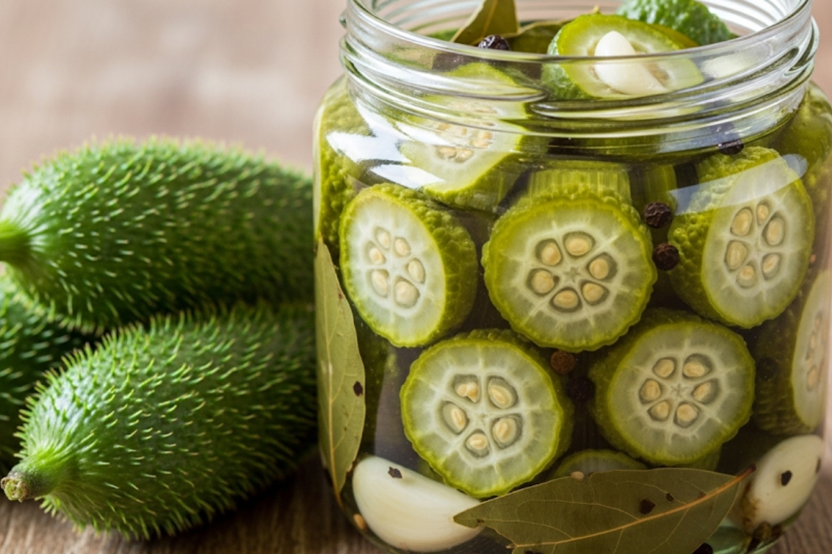 Receita de Picles de maxixe: a conserva que vai te surpreender
