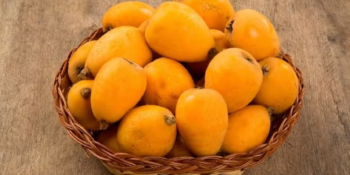 Fruta que marcou gerações agora pode ser cultivada em apartamento no RJ, SP E BH